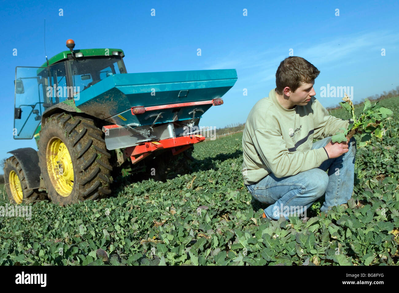Fertilizer manure spreading Stock Photo Alamy