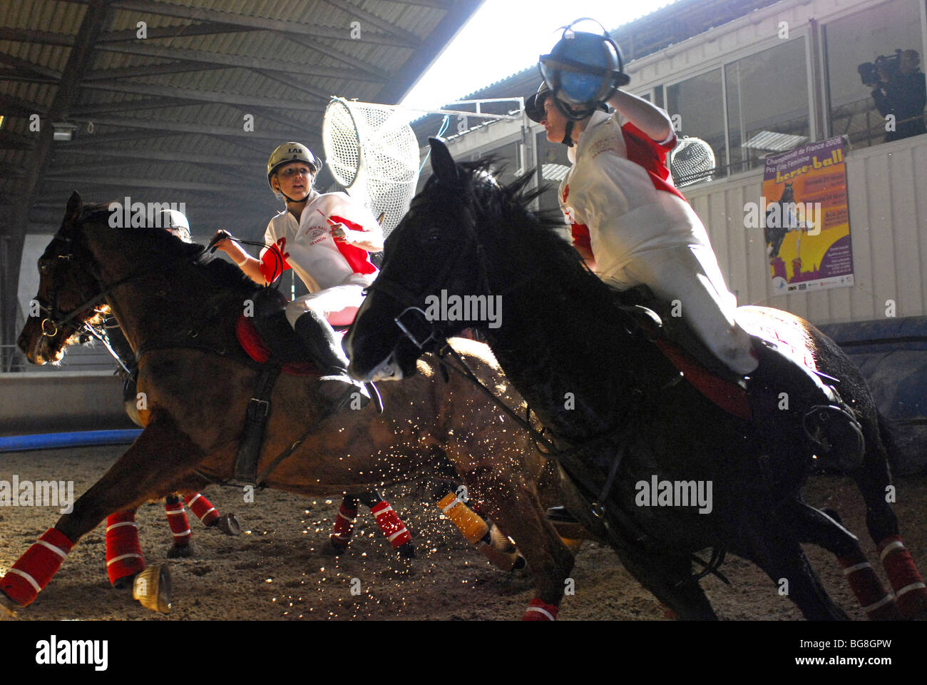 Horse ball Stock Photo