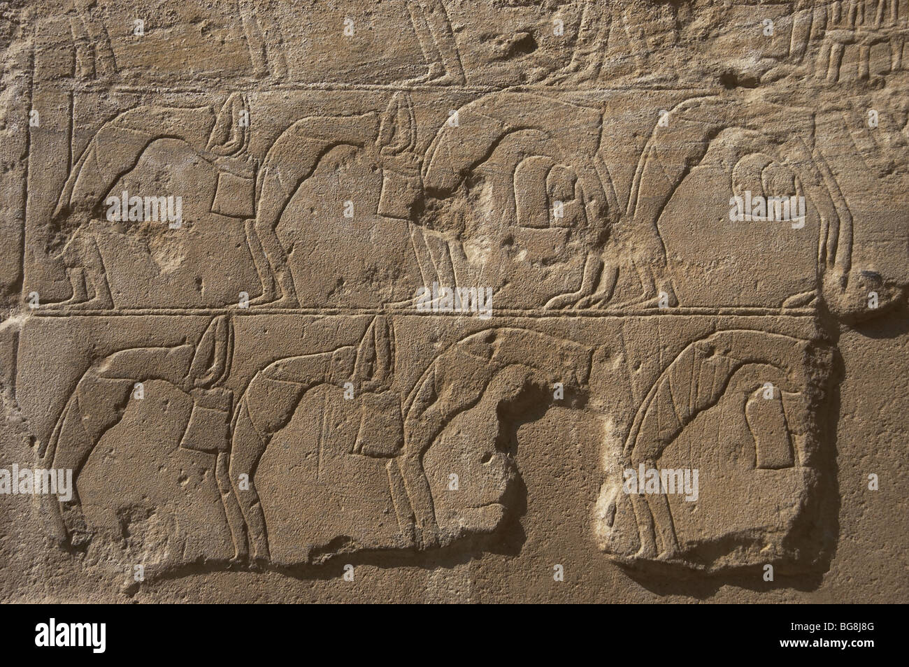 Relief depicting a group of dancers. New Kingdom. Temple of Luxor. Egypt. Stock Photo