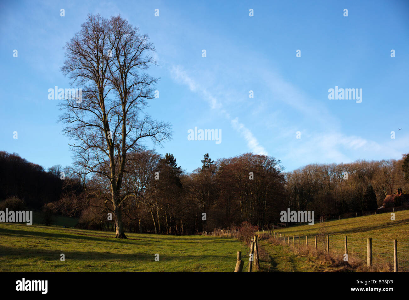 Chiltern fields Oxfordshire England UK Stock Photo