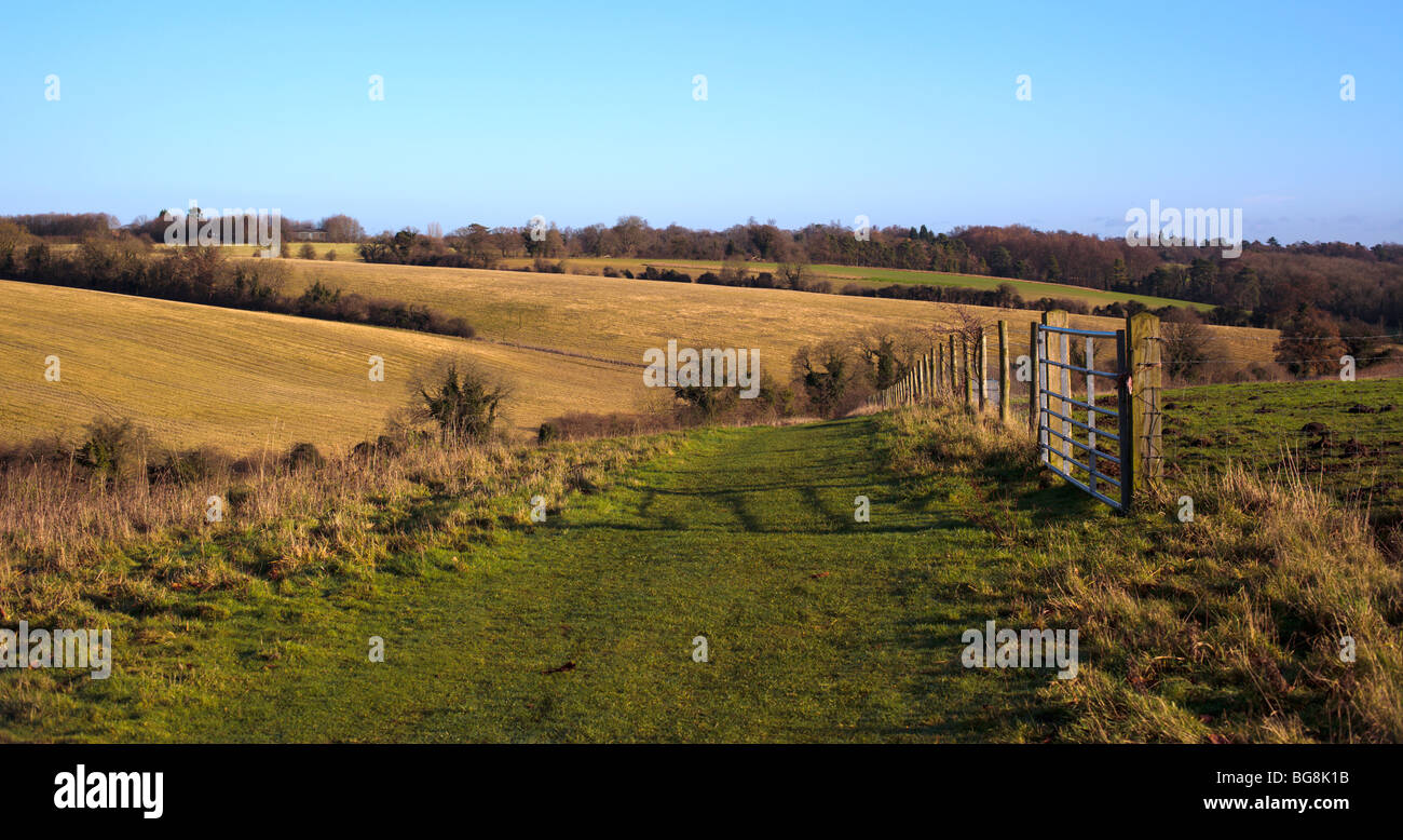 Chiltern fields Oxfordshire England UK Stock Photo
