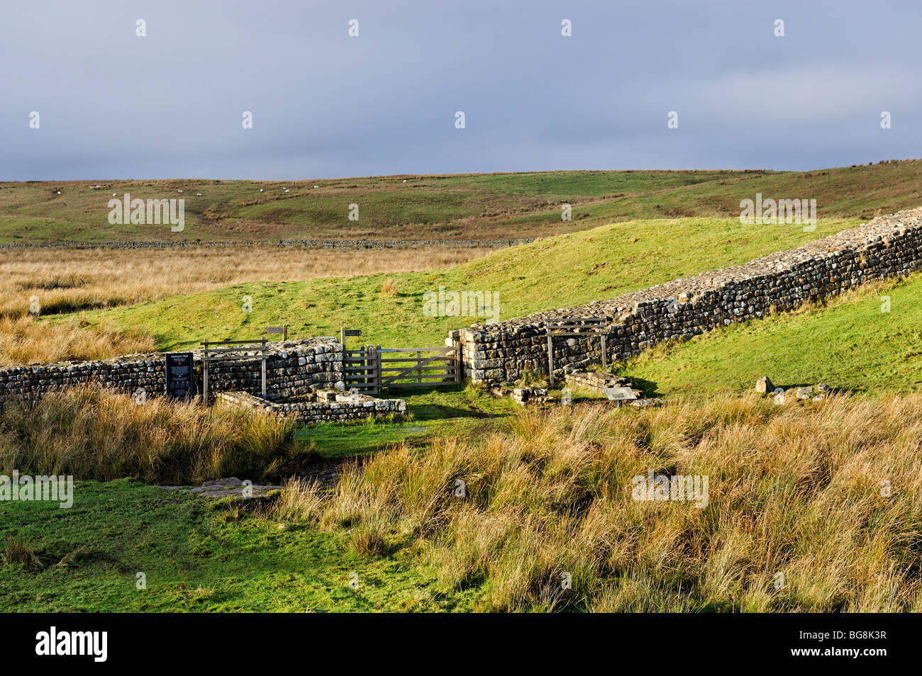 The Northumberland stretch of  Hadrian's Wall and the  Knag Burn Gateway Stock Photo