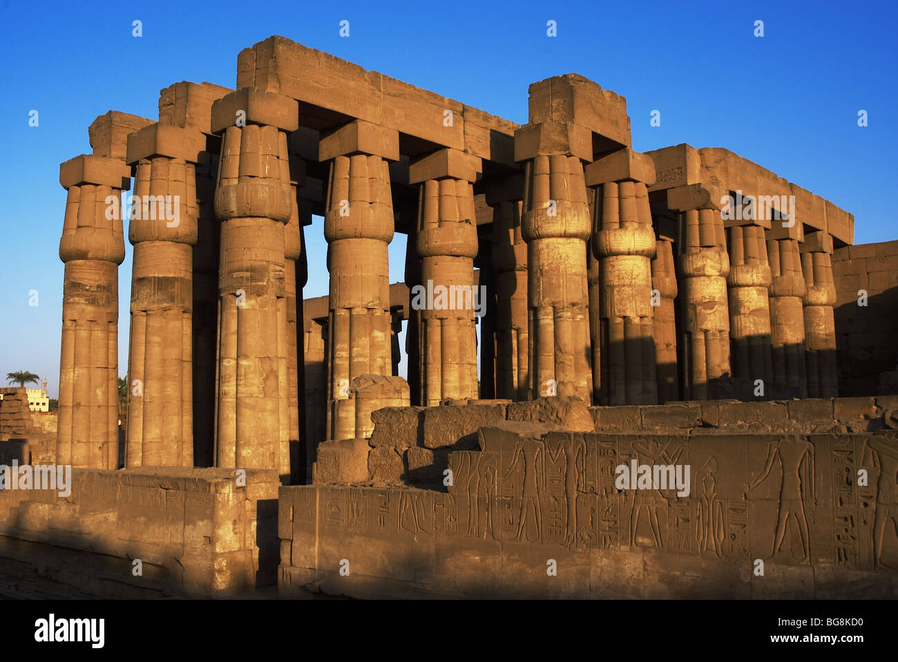 EGYPT. TEMPLE OF LUXOR. Fasciculatesd columns with papyrus capitals of hypostyle. New Kingdom. Ancient Thebes 'Waset Stock Photo