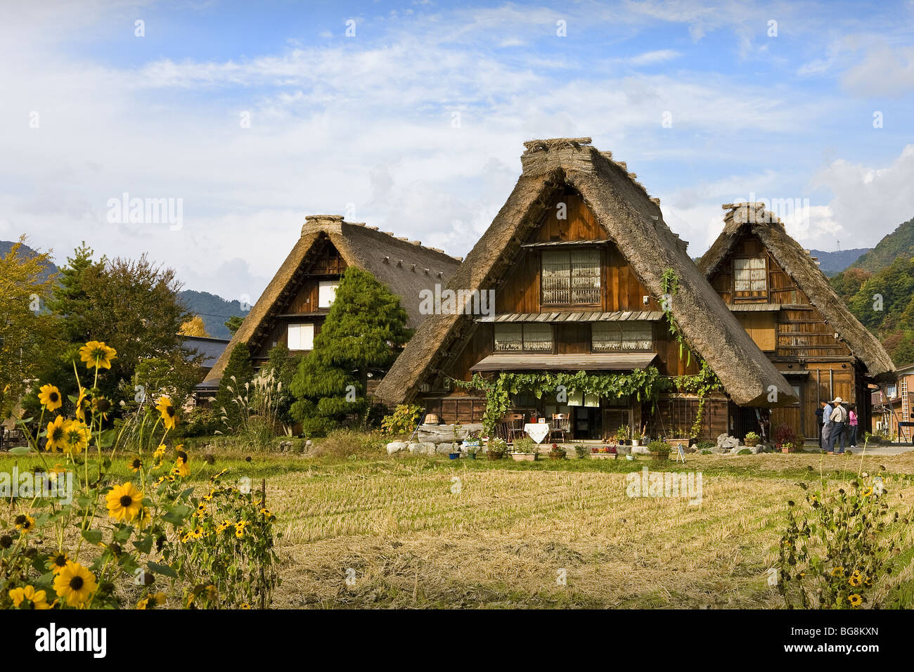 Traditional Japanese houses built in the style called "Gassho-zukuri