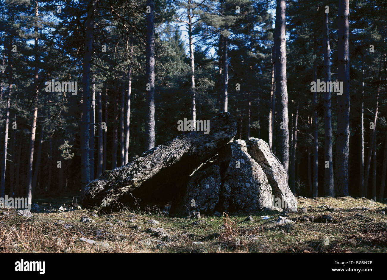 Dolmen of Albia in Aralar Range. Navarre. Stock Photo