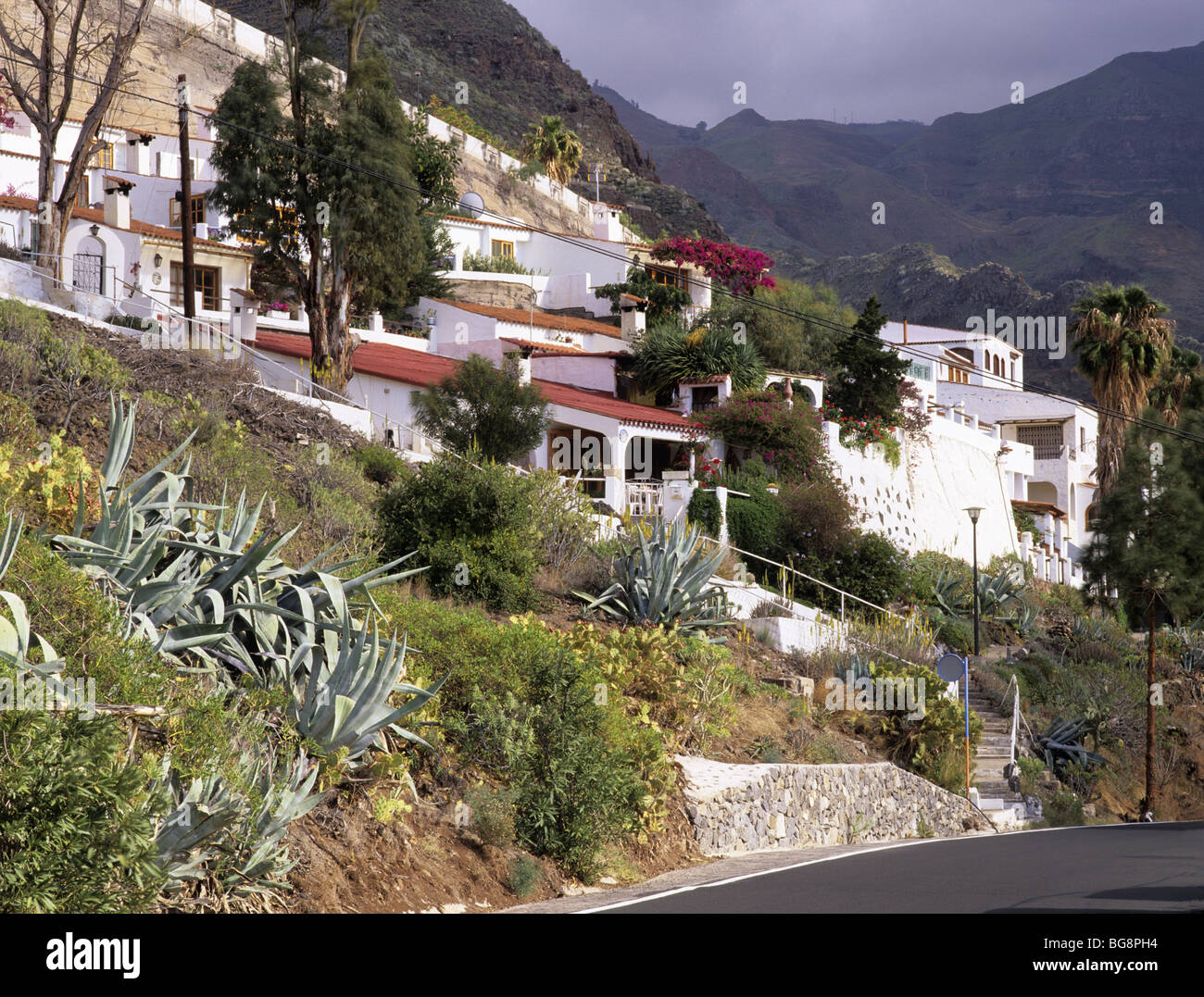 Agaete, Gran Canaria, Canary Isles, Spain. Traditional white houses in ...