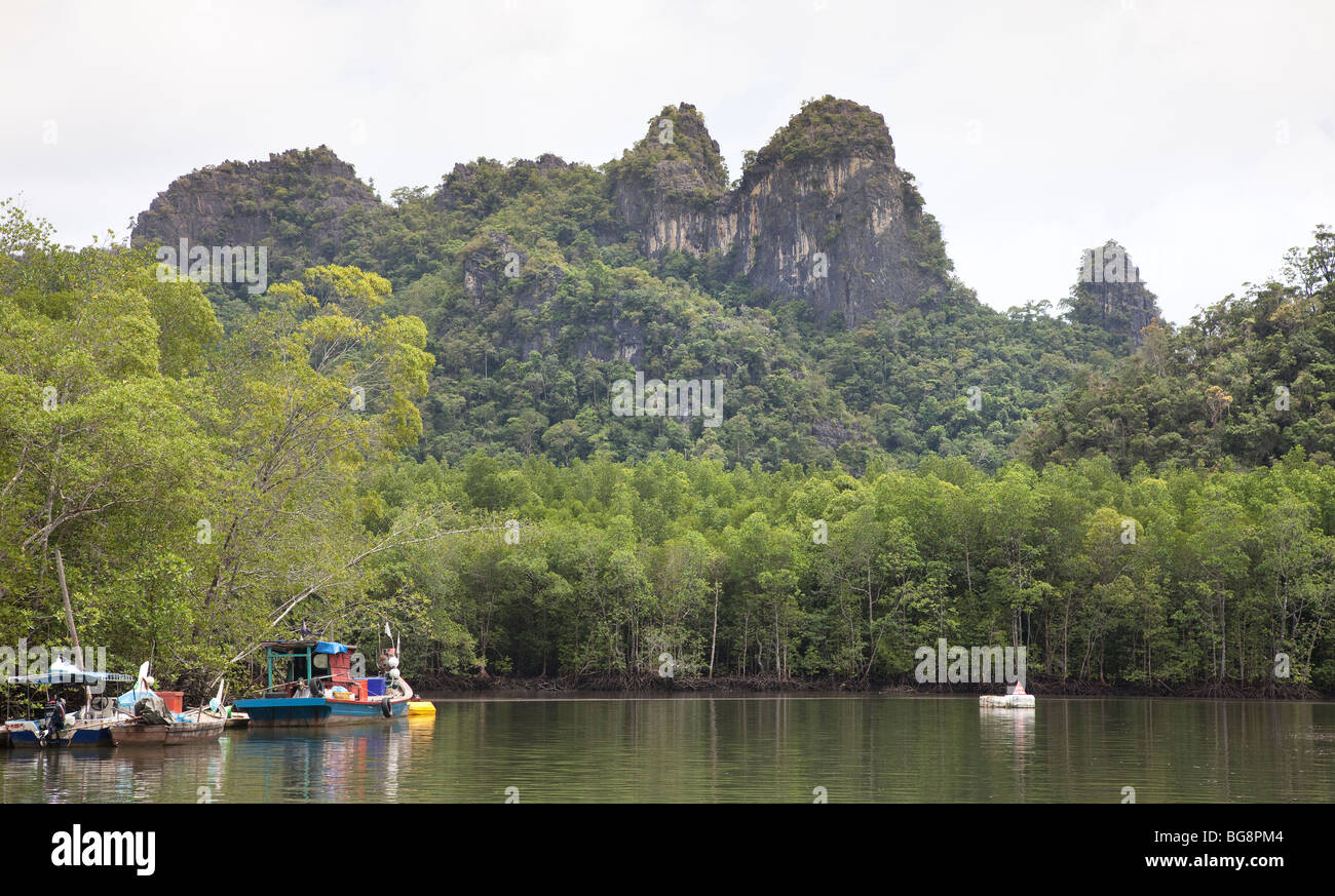 Mangrove forest reserve, Pulau Langkawi Geopark, Malaysia Stock Photo