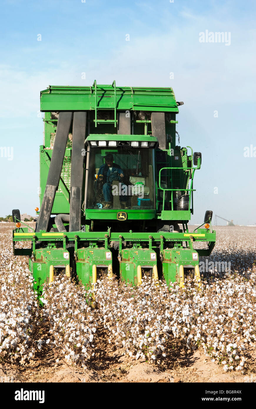 a cotton picker harvests a cotton field in Arizona Stock Photo Alamy