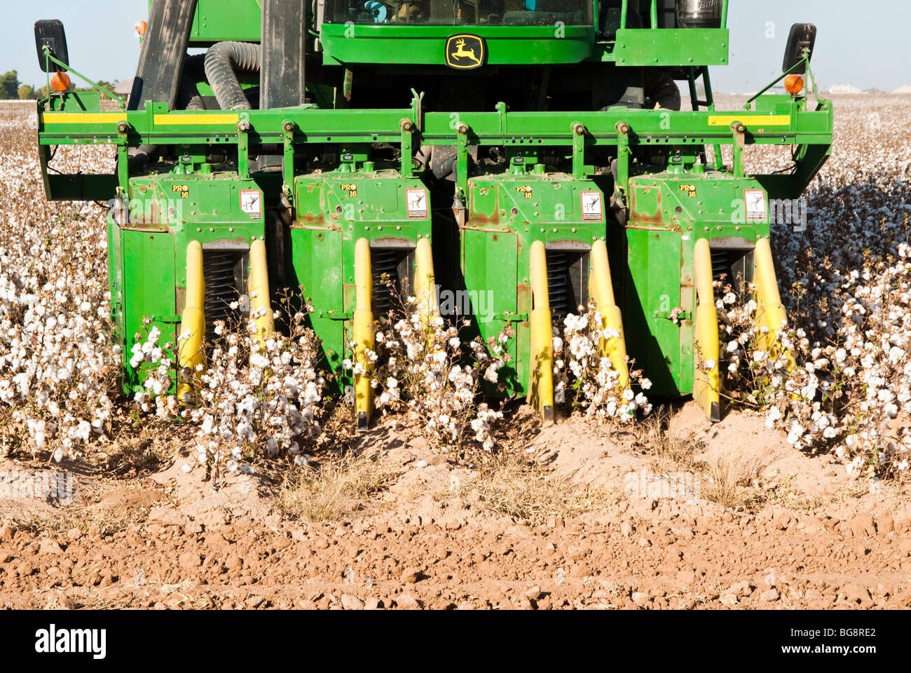 a cotton picker harvests a cotton field in Arizona Stock Photo Alamy