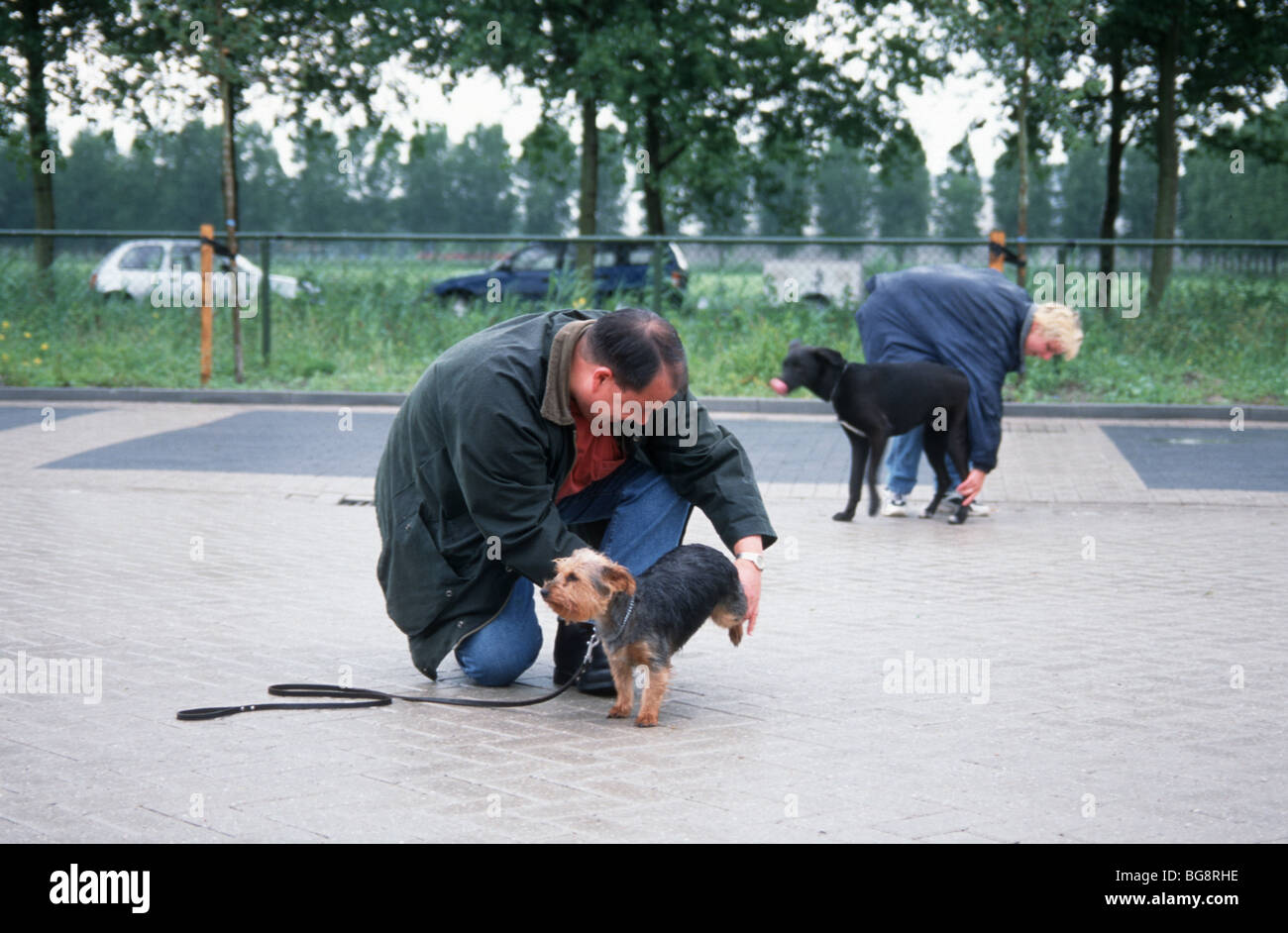 Domestic dog training at animal shelter for adopted refuge dogs