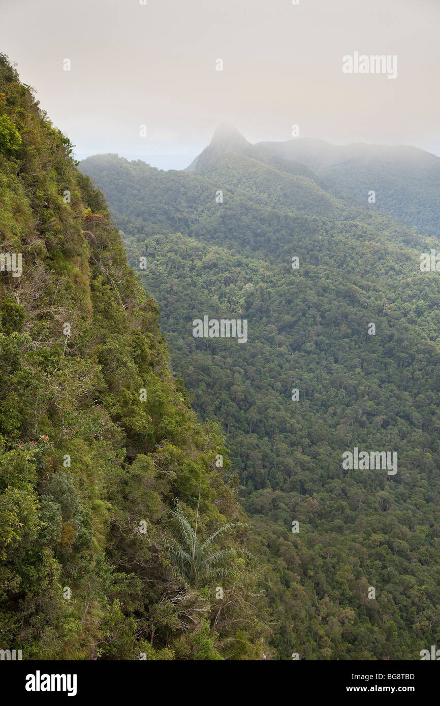 Machincang mountain range and forest reserve, Pulau Langkawi Geopark, Malaysia Stock Photo