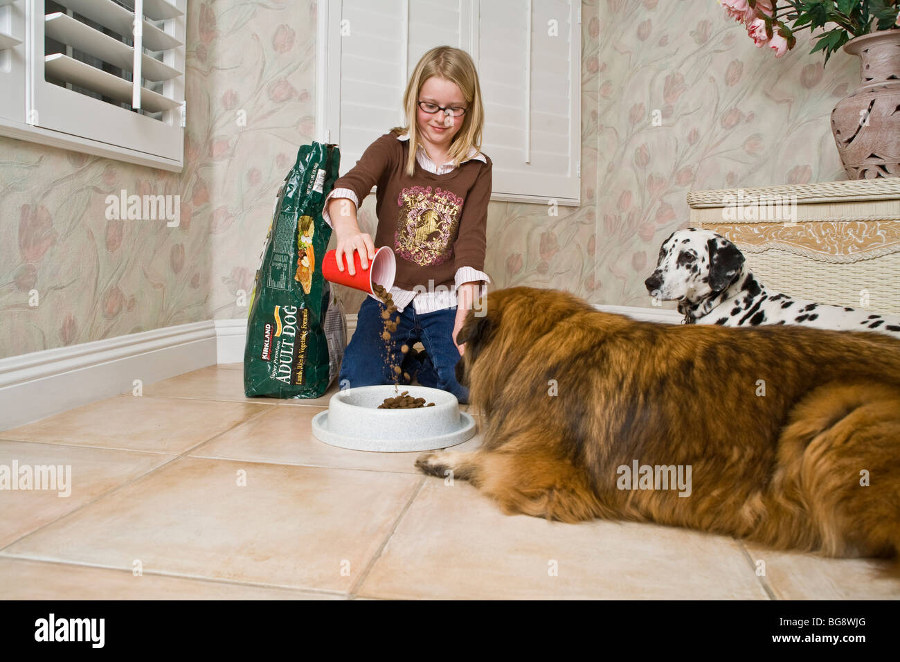 Young person 910 girl feeding two dogs chores Caucasian United States