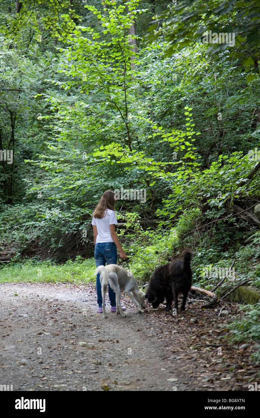 Teen girl walking dog hi-res stock photography and images - Alamy