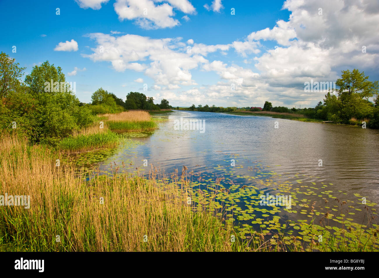 Weichel Rivier Banks of Szkarpawa River / Elbinger Weichsel near Rybina / Fischerbabke ...