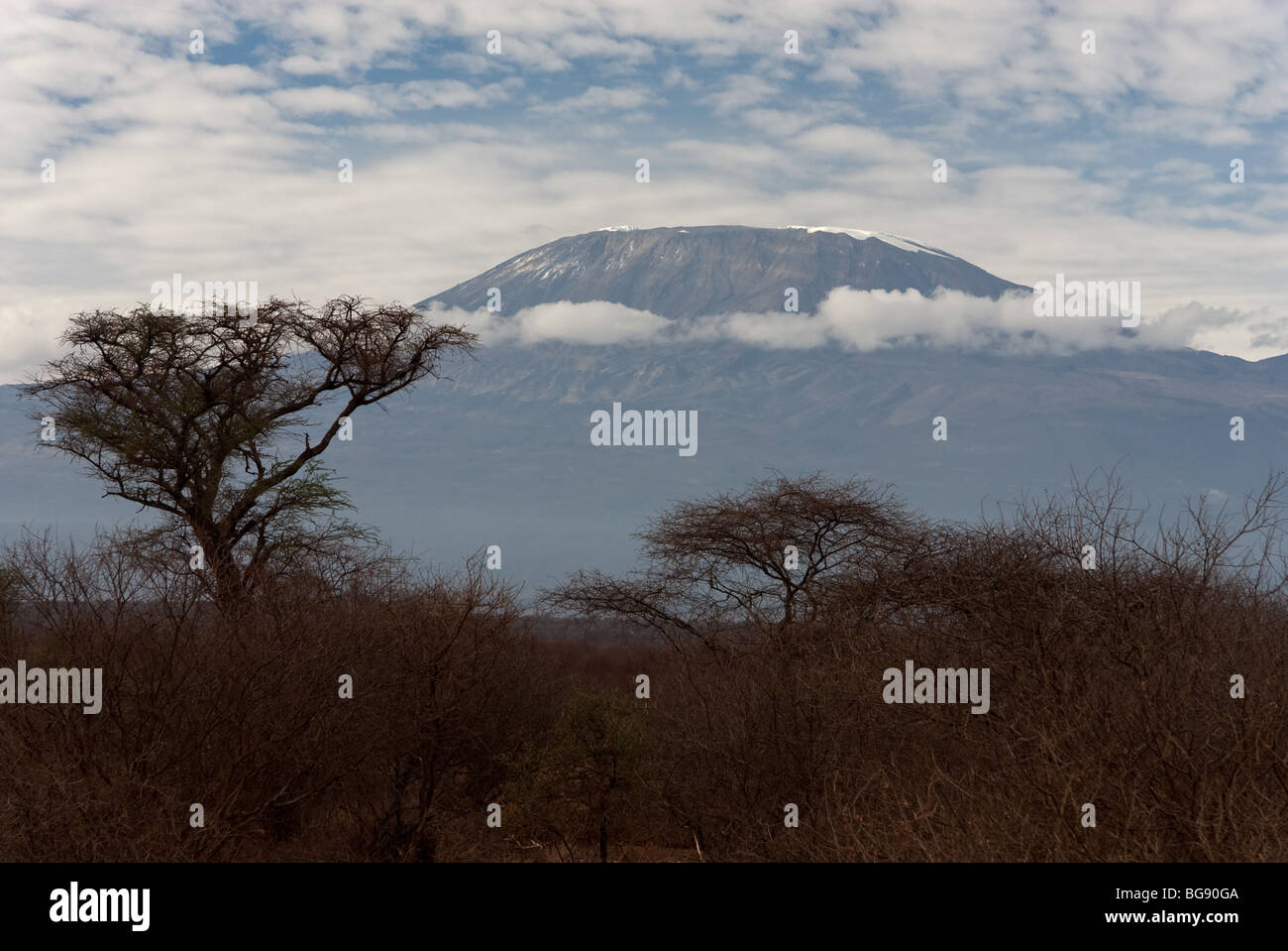 Highest Peak In Africa