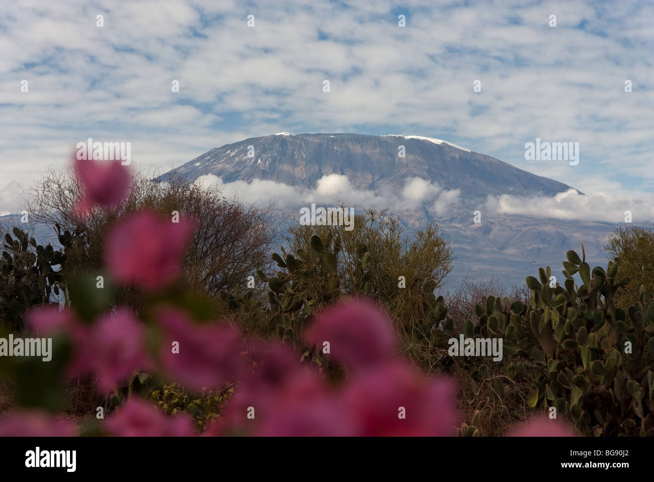 Mount Kilimanjaro The Highest Peak In Africa Stock Photo Alamy