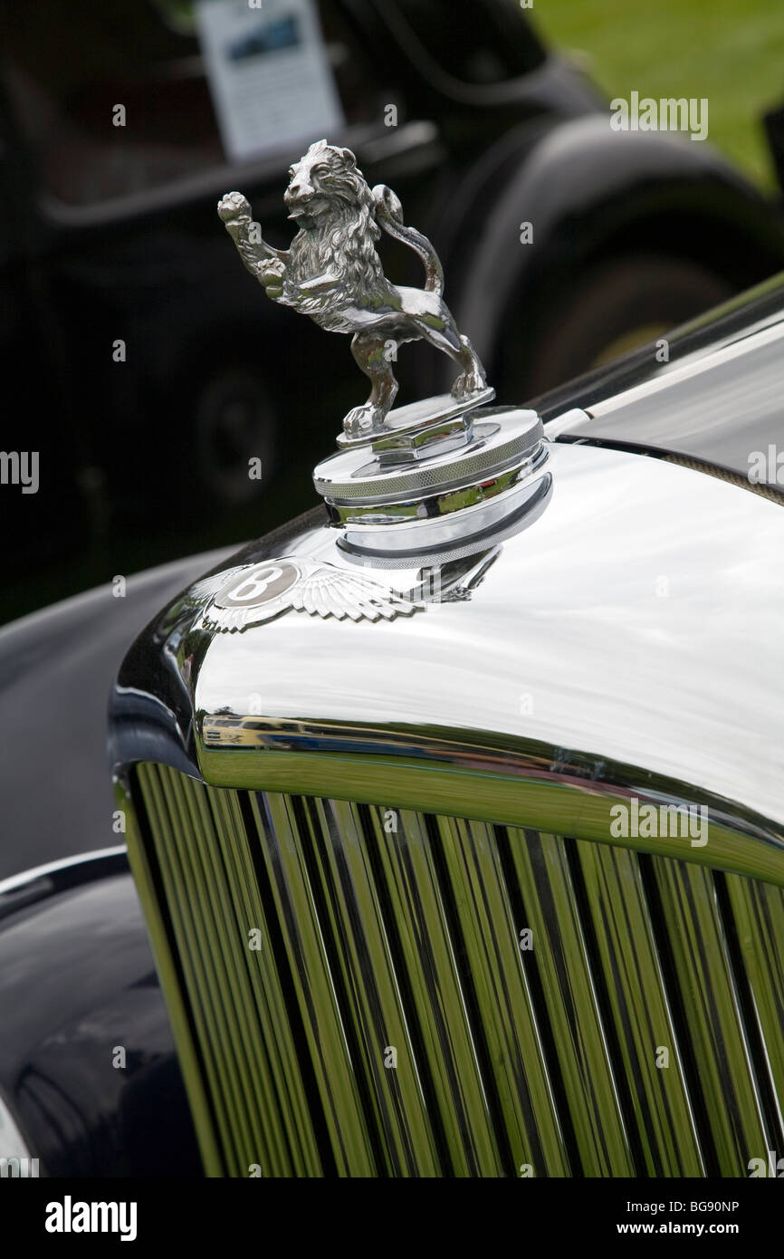 Hood ornament vintage bentley hires stock photography and images Alamy