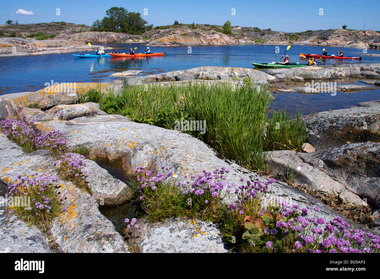 Finland, Åland Islands Canoe trip Stock Photo Alamy