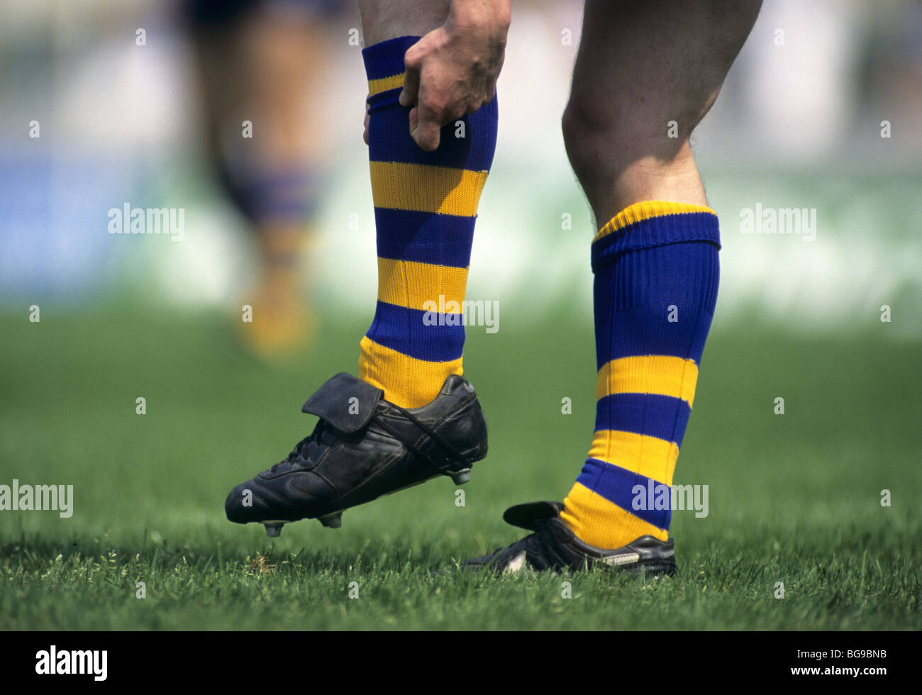 Rugby player adjusting his sock Stock Photo - Alamy