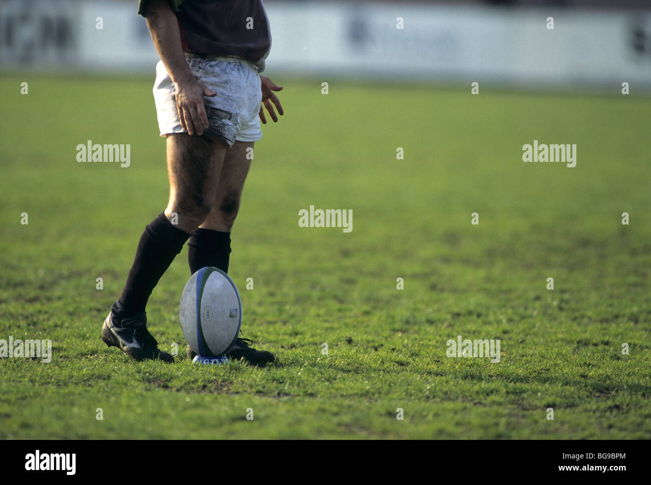 Rugby player about to kick the ball Stock Photo Alamy
