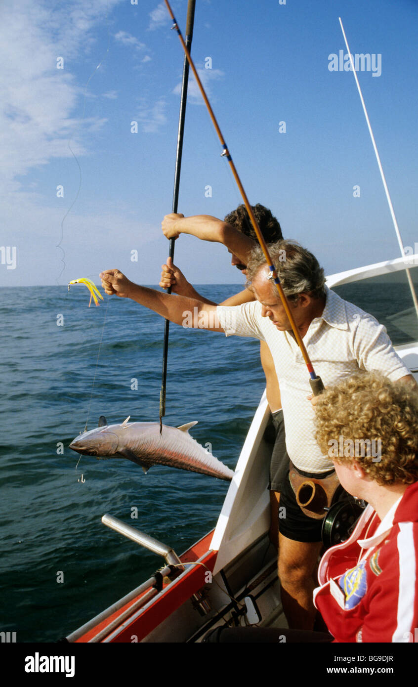 Haulingfish hires stock photography and images Alamy