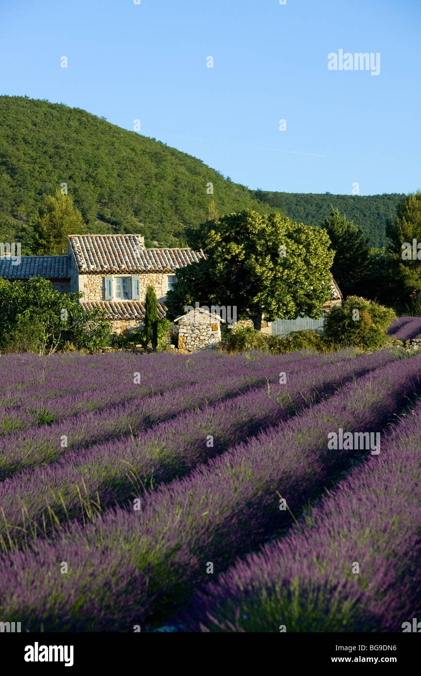 House near Banon. Alpes de Haute Provence. Stock Photo