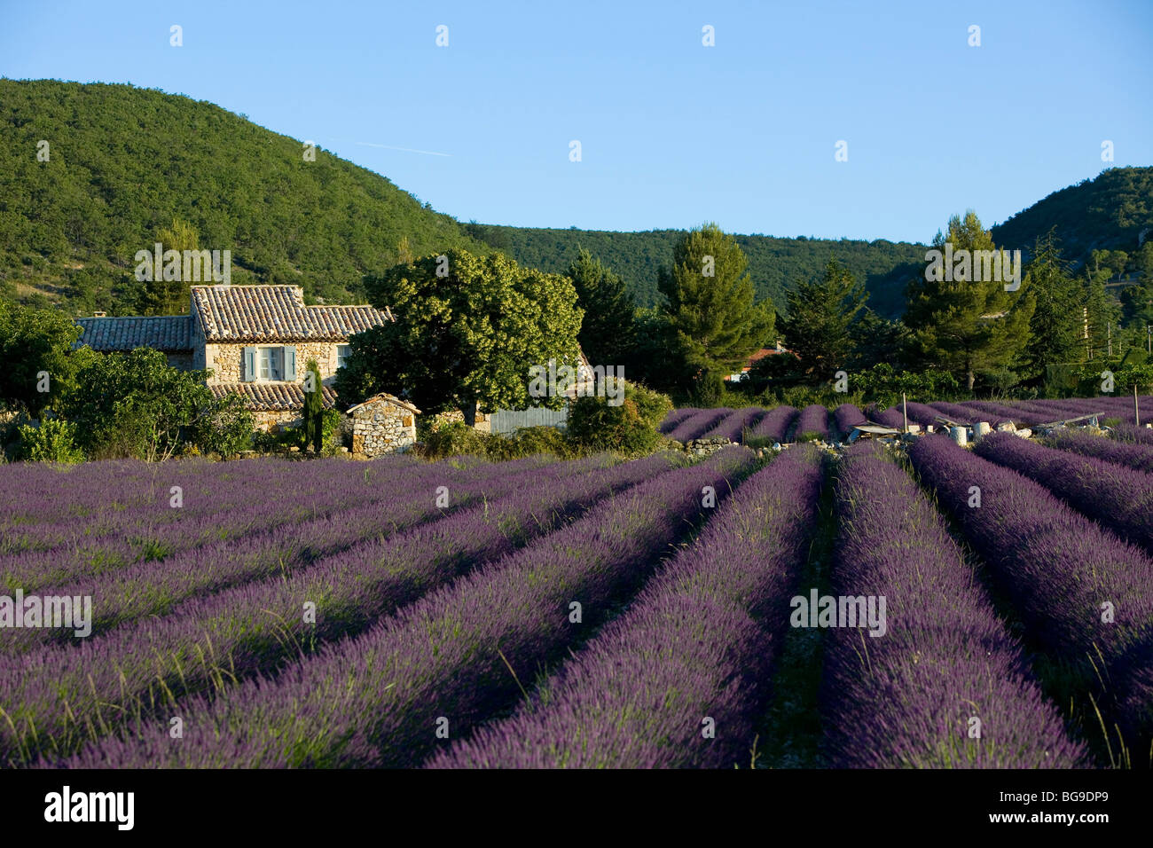 House near Banon. Alpes de Haute Provence. Stock Photo