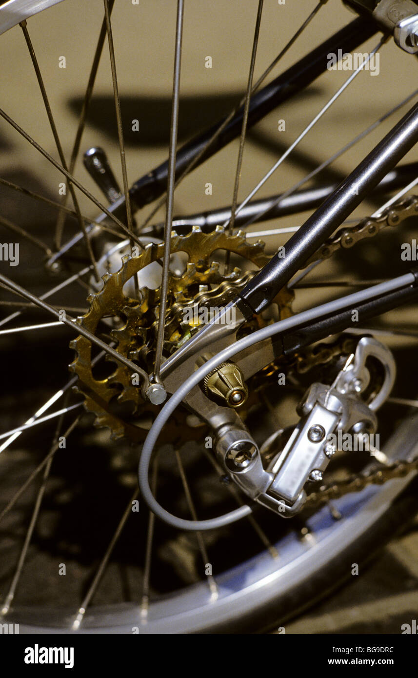 Bicycle gears detail Stock Photo Alamy
