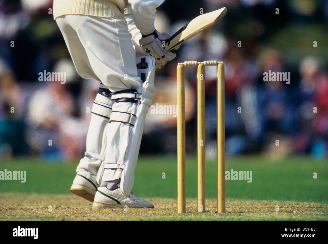 Close up of a cricket player about to hit a ball during a match Stock Photo