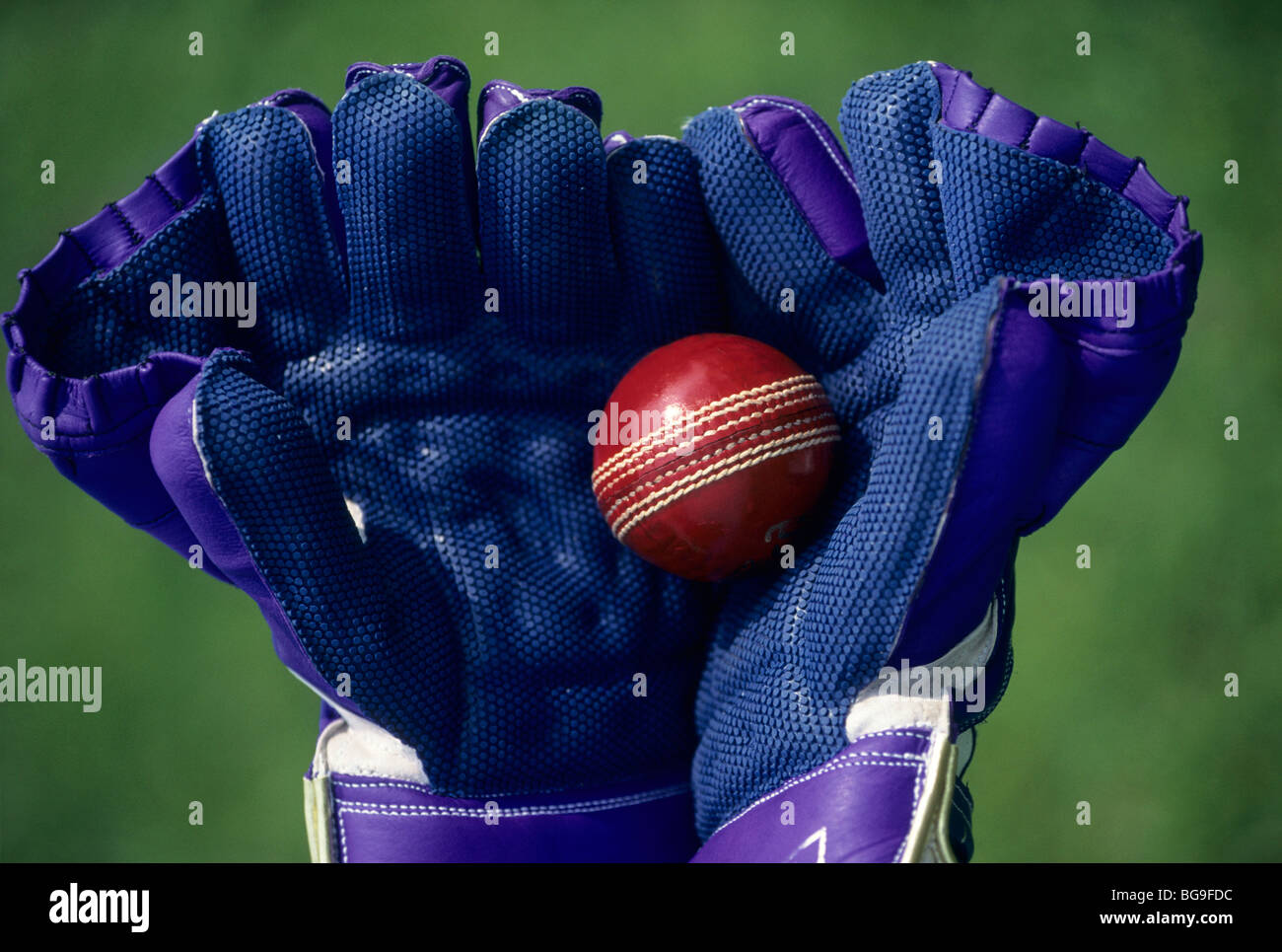 Close up of a wicket keeper holding a cricket ball Stock Photo Alamy