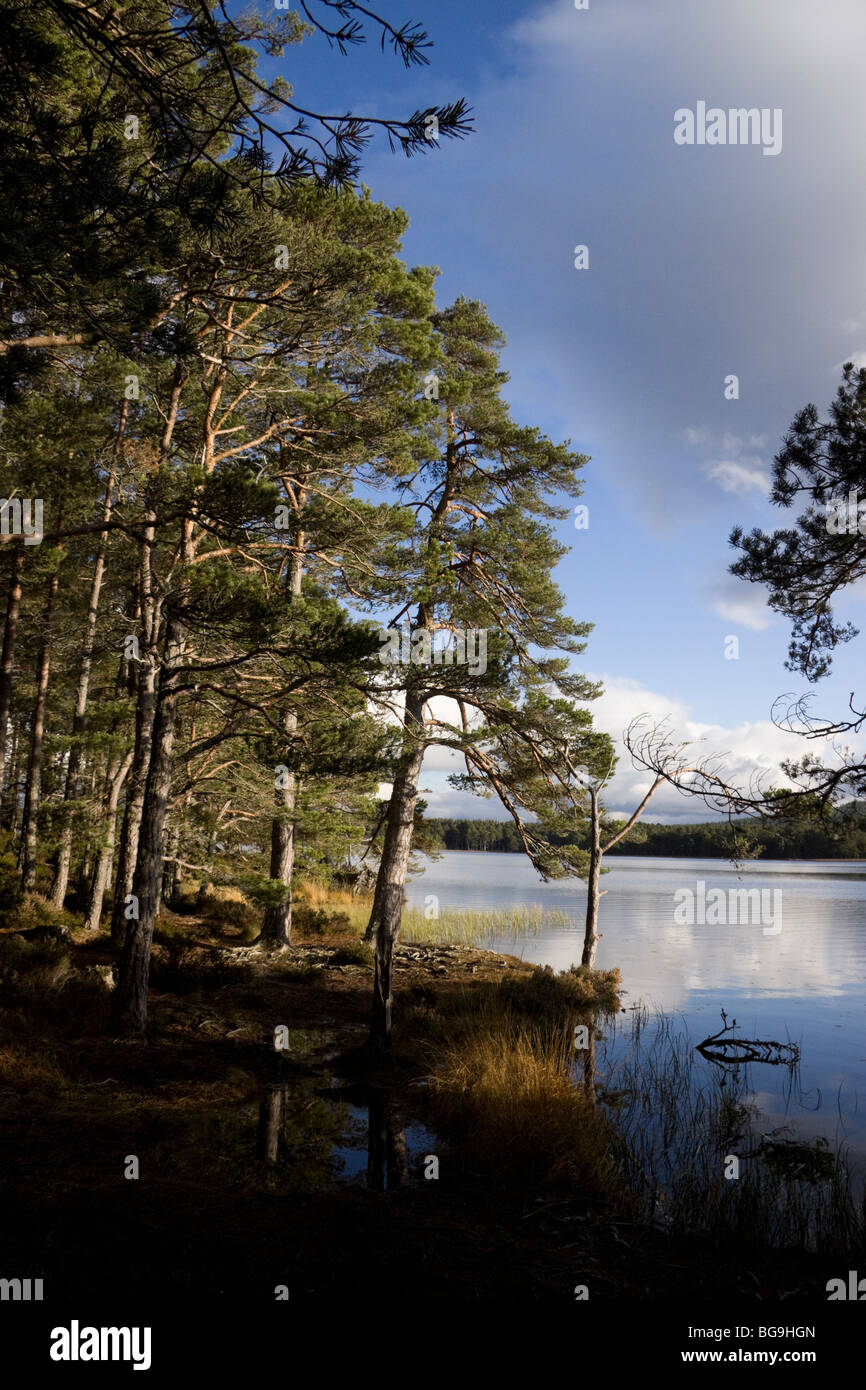 Boat of garten scotland hires stock photography and images Alamy