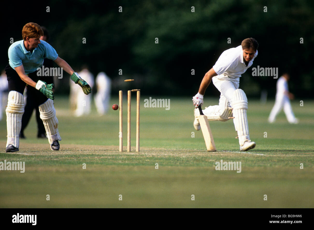 Wicket keeper gloves hires stock photography and images Alamy