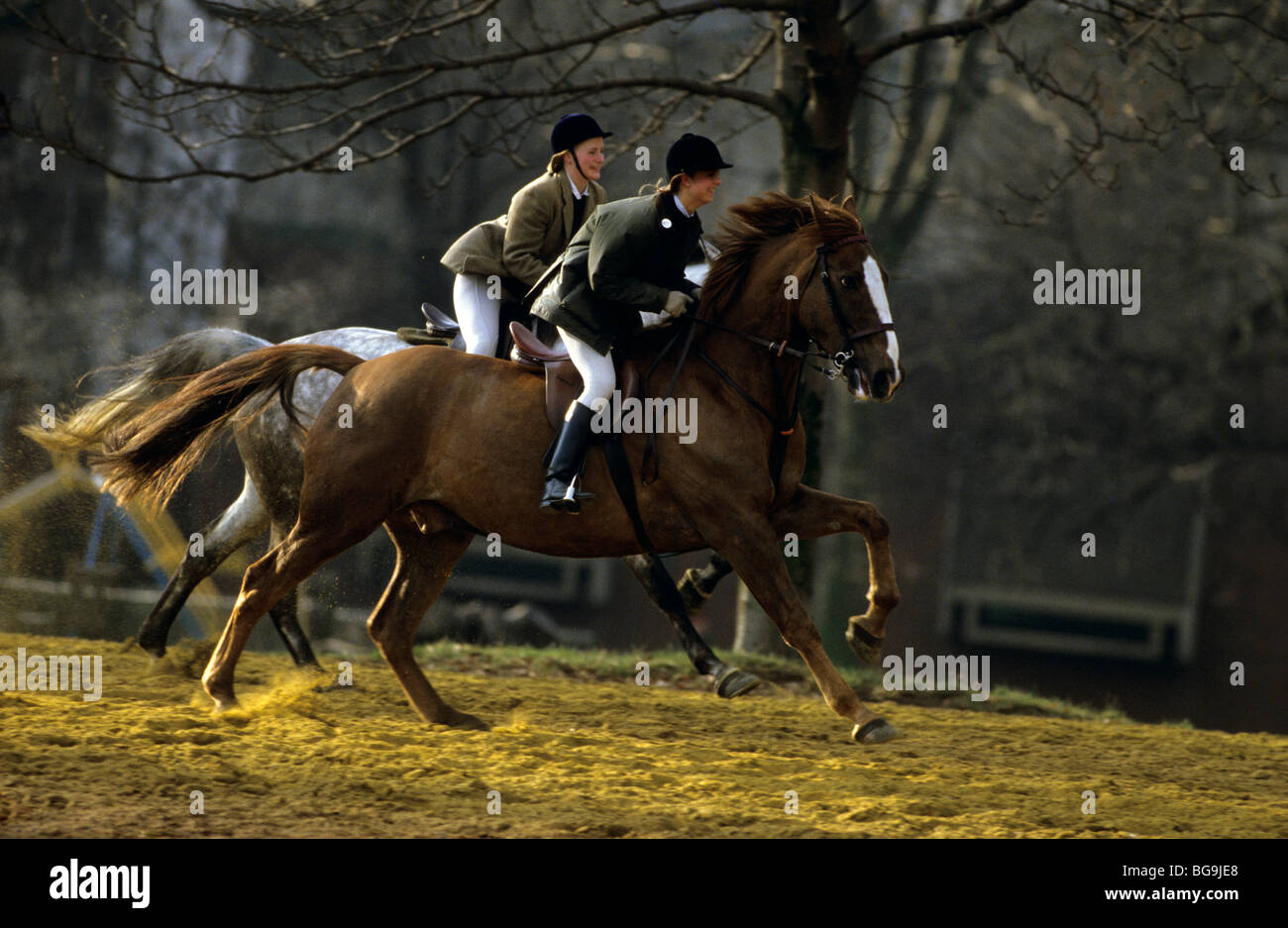 Horse riders racing their horses Stock Photo