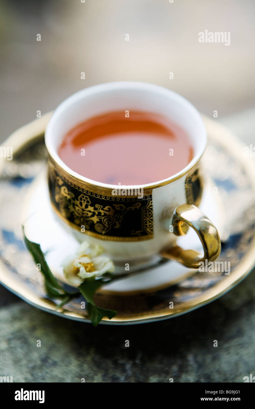 A cup of fresh Darjeeling tea in Darjeeling, India Stock Photo