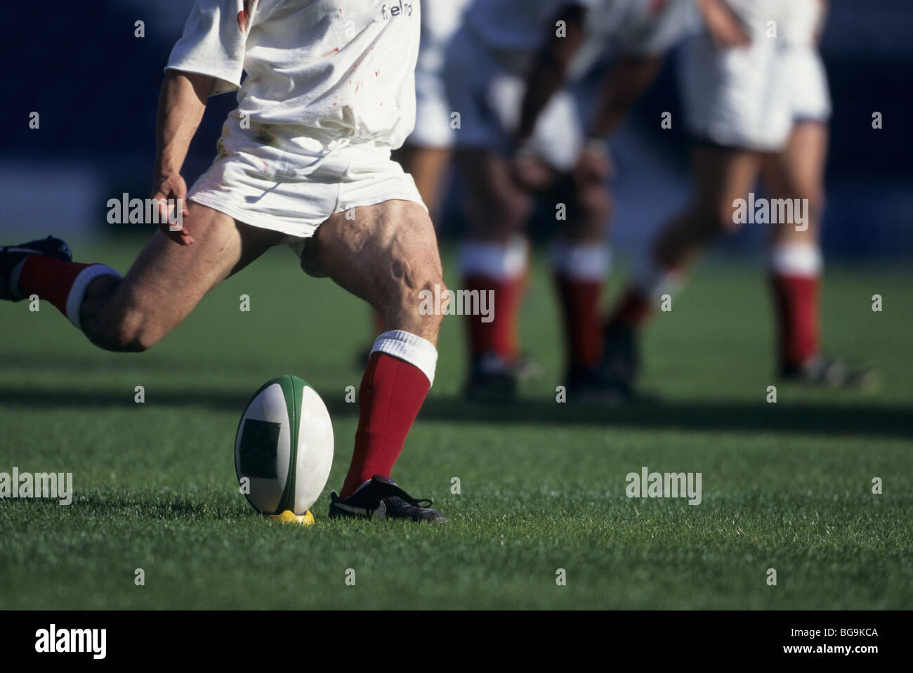 Rugby player kicks the ball off the tee Stock Photo Alamy