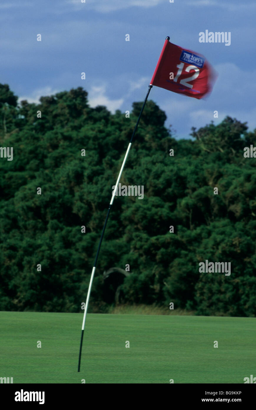Golf flag on golf course bending in the wind Stock Photo Alamy