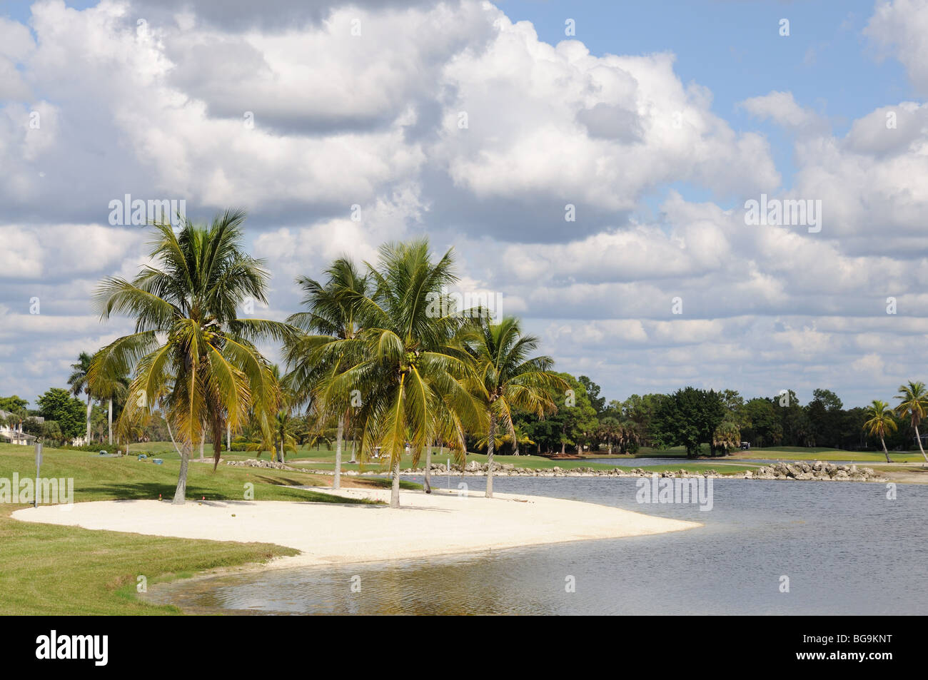 Palm Trees and Lake in Naples, Florida USA Stock Photo