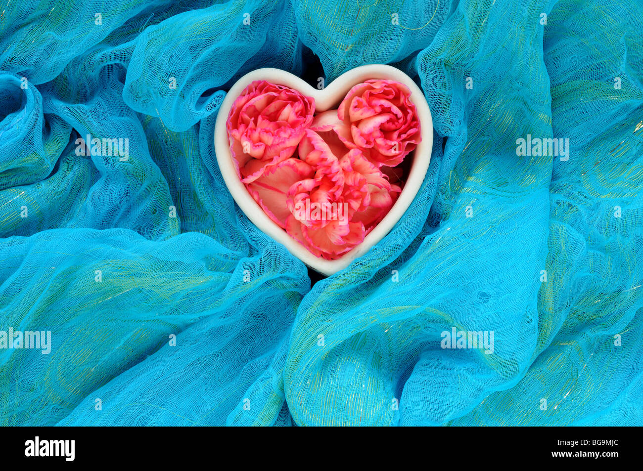 Heart shaped container with red petals Stock Photo - Alamy