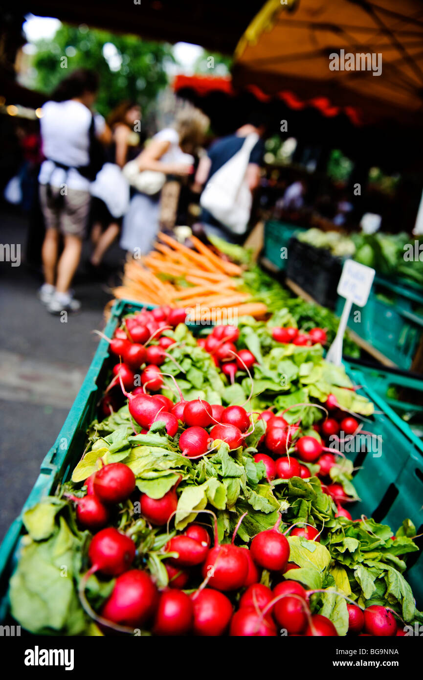 radishes at a farmer's market Stock Photo Alamy