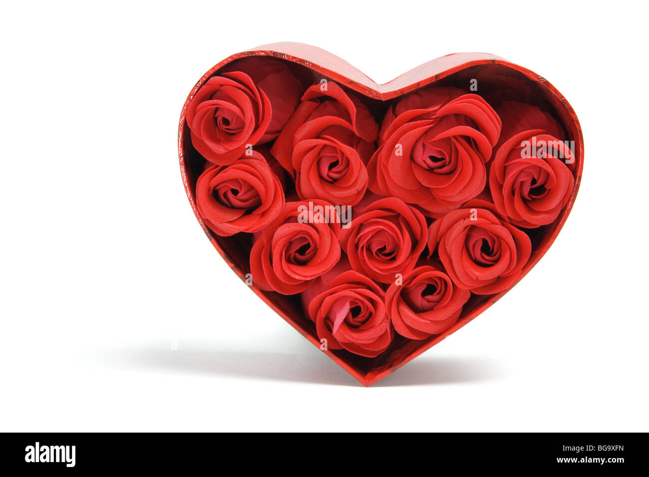 Red Roses in Gift Box Stock Photo