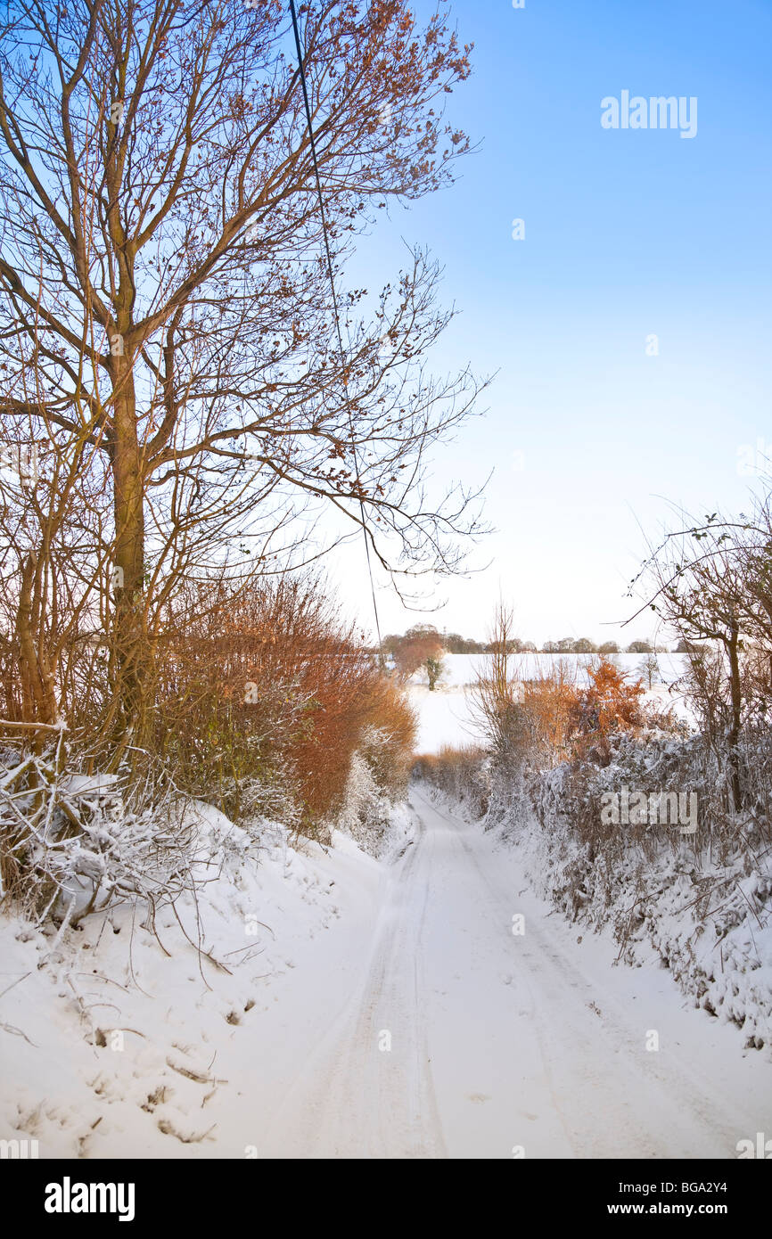 Rural snow lanscape, Bedfordshire, tree lined country lane, warm summer sun. Stock Photo