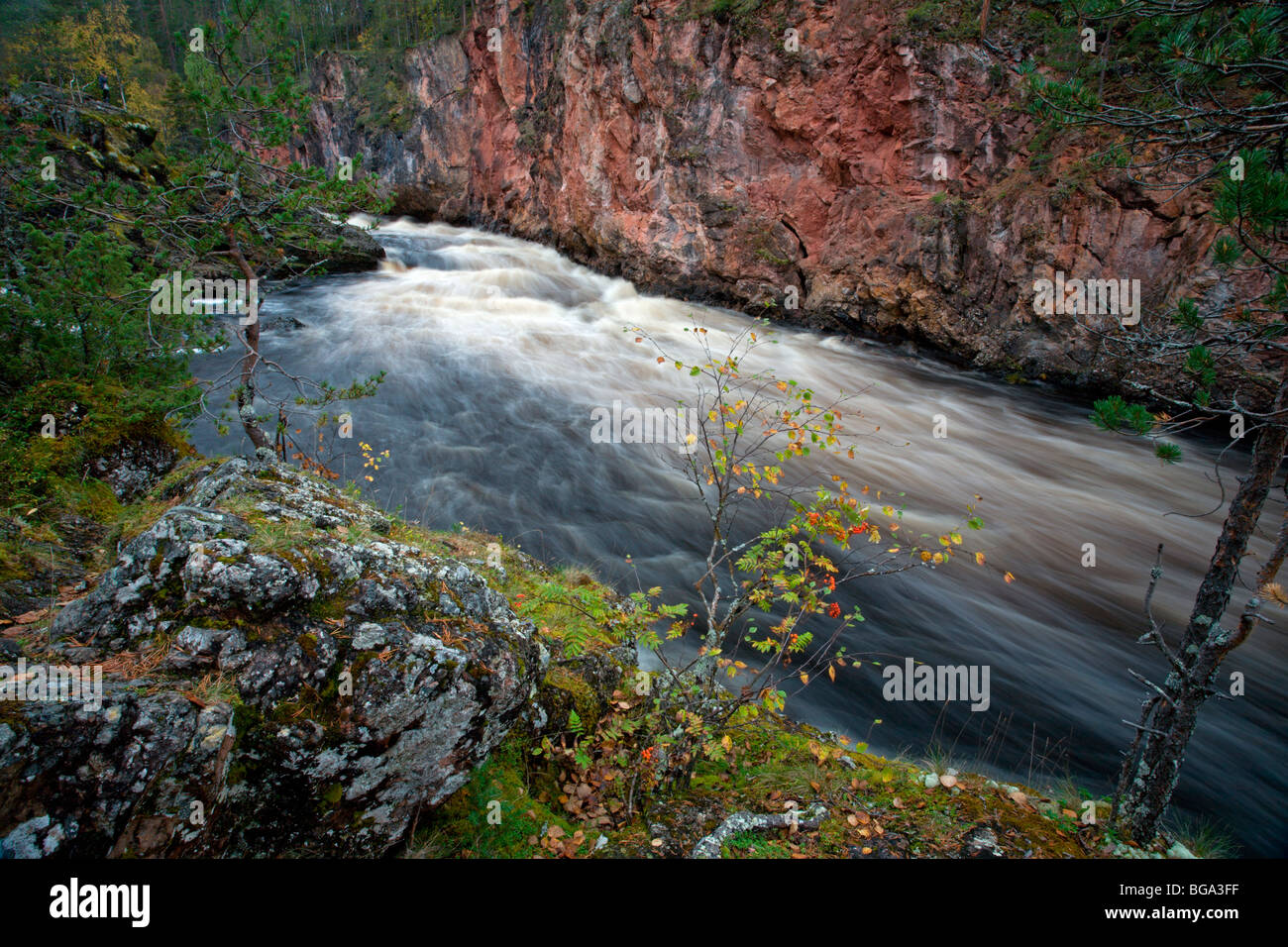 Oulanka National Park: Kiutaköngas Rapid Stock Photo