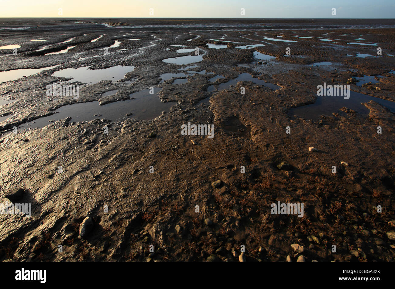 A view over the mud flats of The Wash at Snettisham on the Norfolk coast. Bird footprints are visible in the foreground. Stock Photo