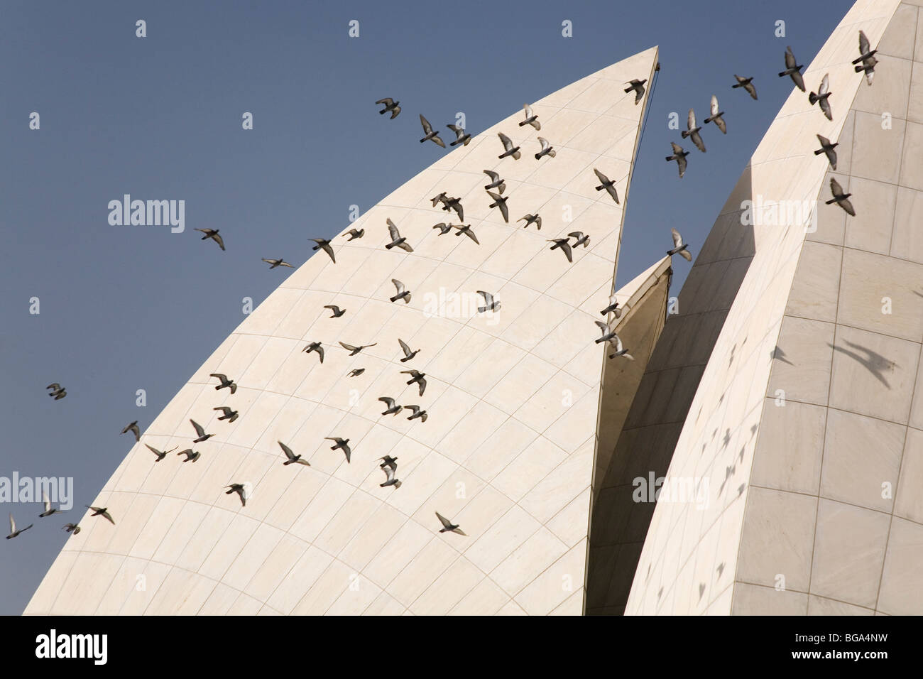 Pigeons fly around the Bahai House of Worship (the Lotus Temple) in New Delhi, India. Stock Photo