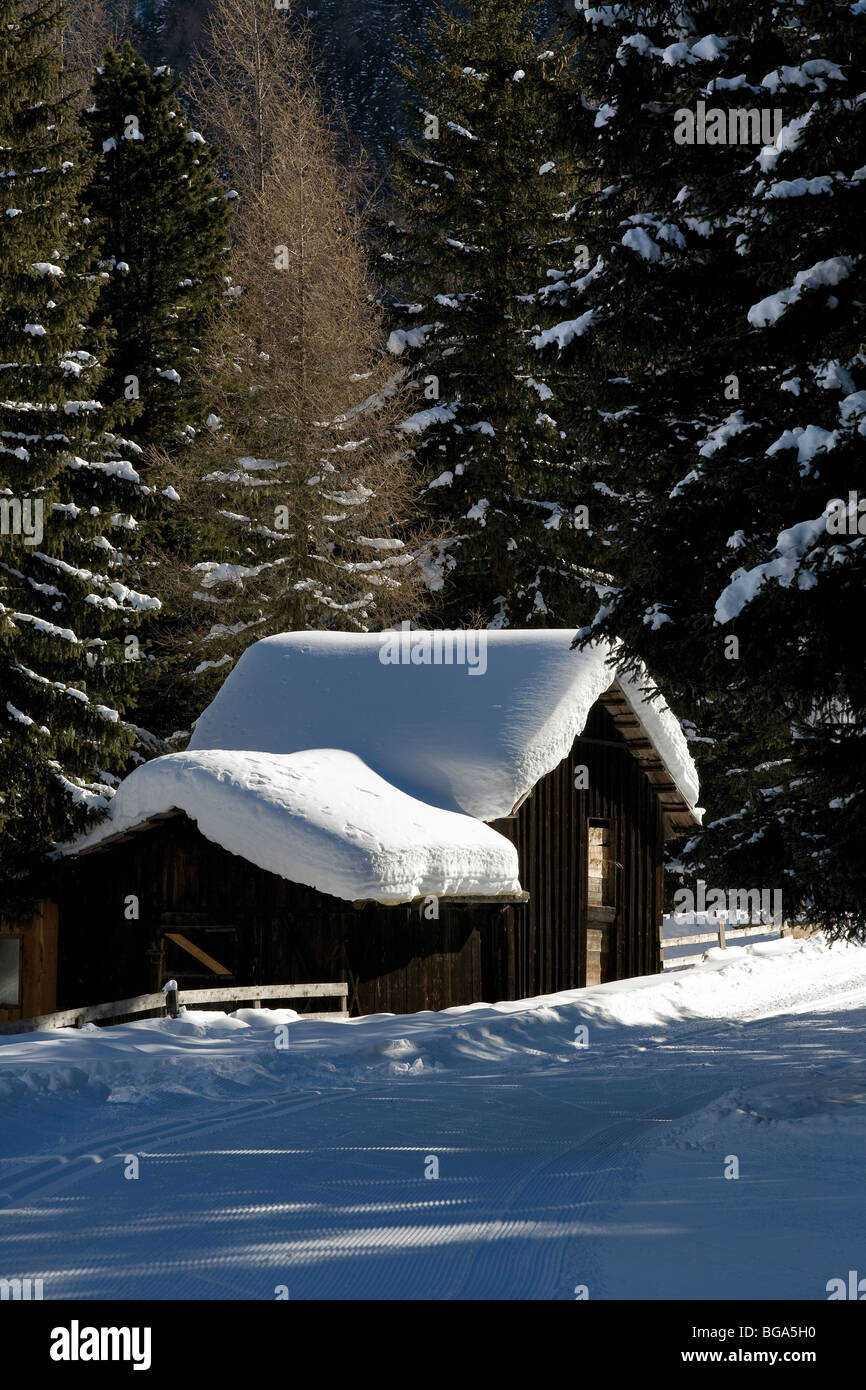 Europe, Italy, Alpi, Alto Adige, Dolomiti, hut, snow, forest Stock Photo