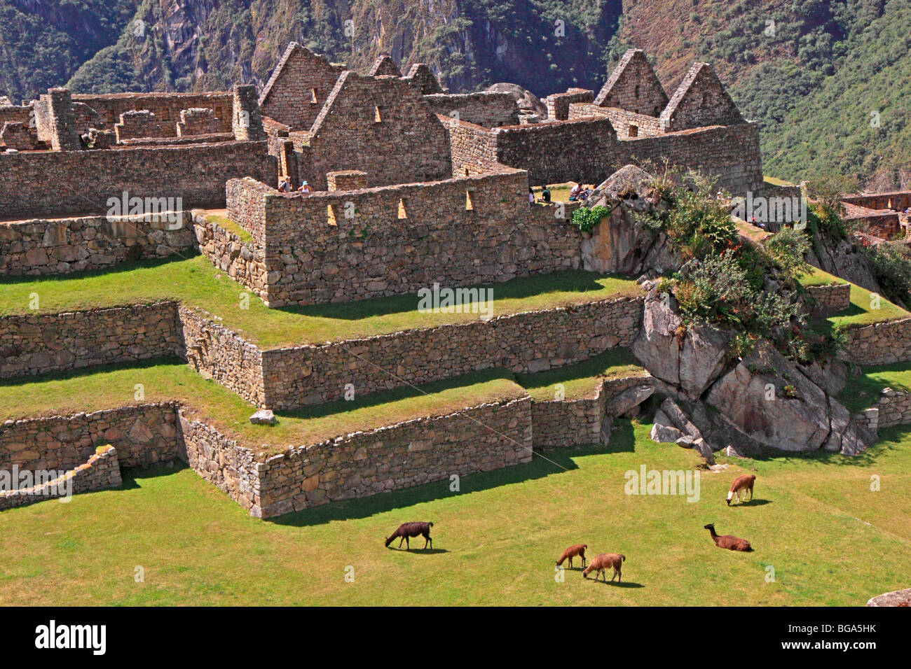 Machu Picchu, Peru, South America Stock Photo