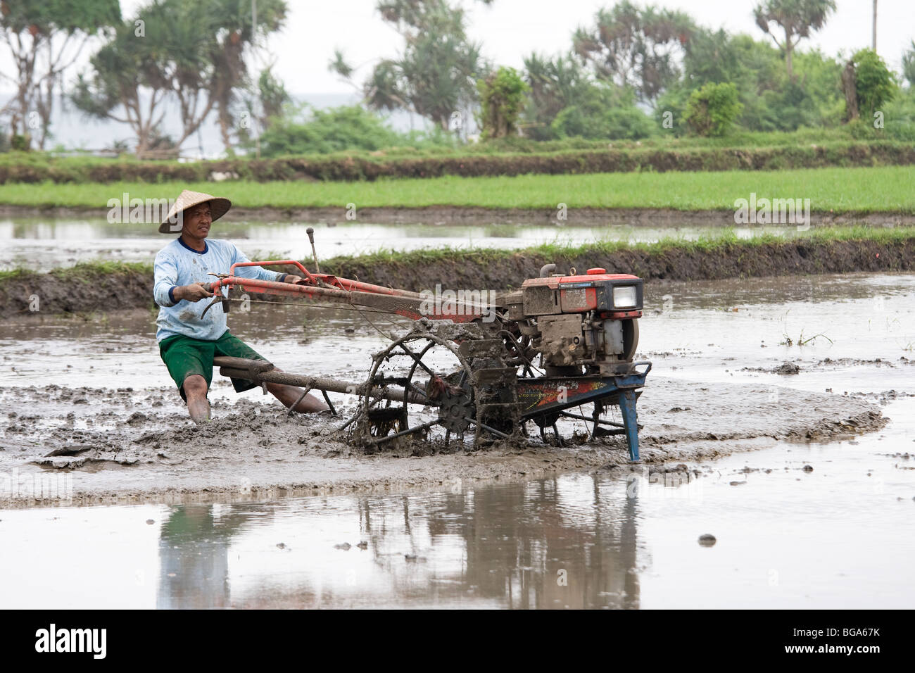 Mechanised cultivation, rice paddy field, Bali Stock Photo - Alamy