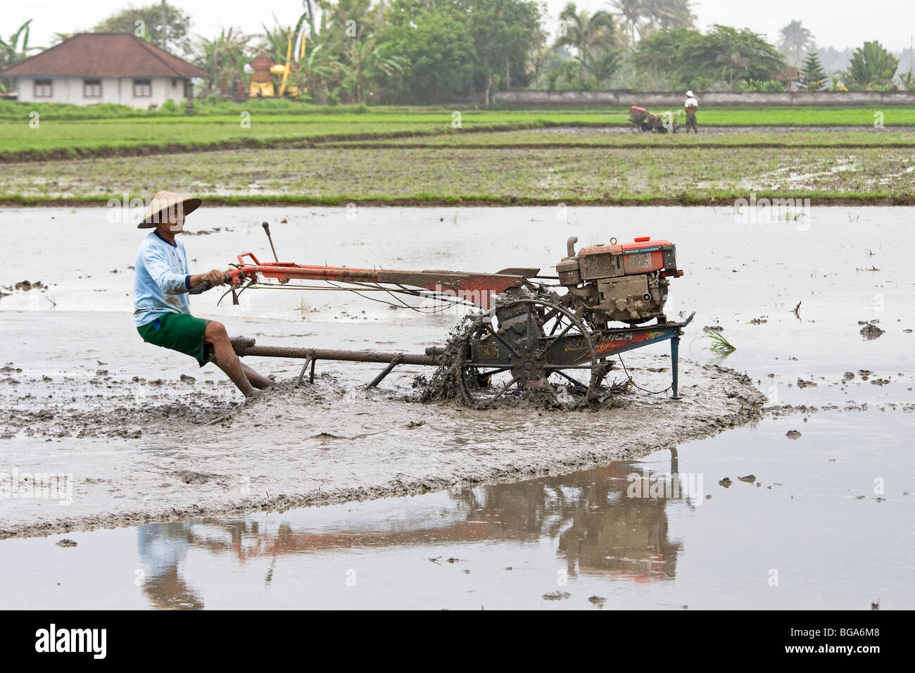 Mechanised cultivation, rice paddy field, Bali Stock Photo - Alamy