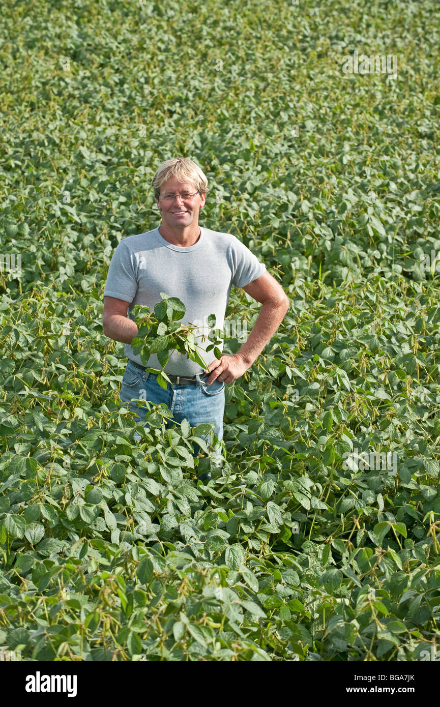 Soybean farmer hires stock photography and images Alamy