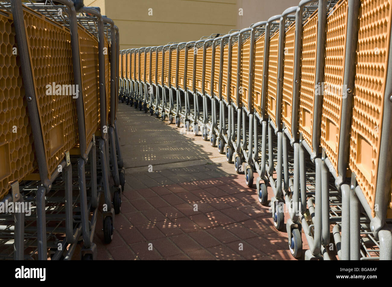 Rows of shopping carts Stock Photo